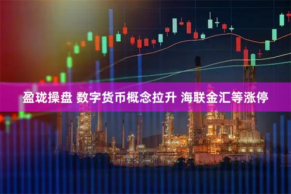 盈珑操盘 数字货币概念拉升 海联金汇等涨停