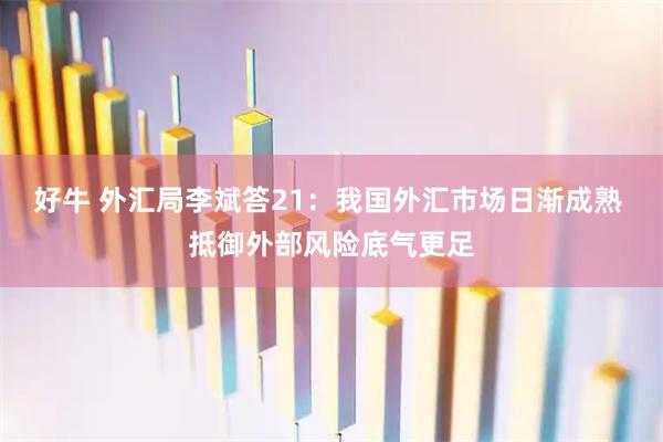 好牛 外汇局李斌答21：我国外汇市场日渐成熟 抵御外部风险底气更足
